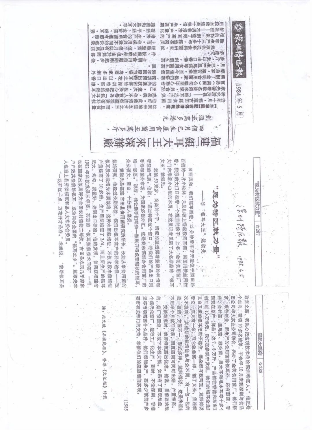 本草银耳--银耳之父52年匠心培育，成就新一代的滋补珍品“圣耳”
