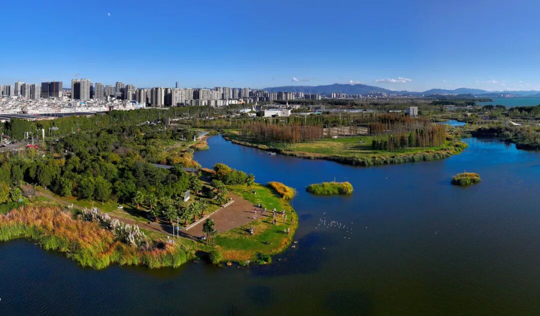 斗南湿地 周密摄 .JPG