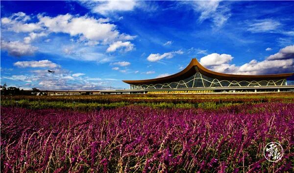 昆明区有几个区地图高清_昆明区有几个区分布图_昆明有几个区