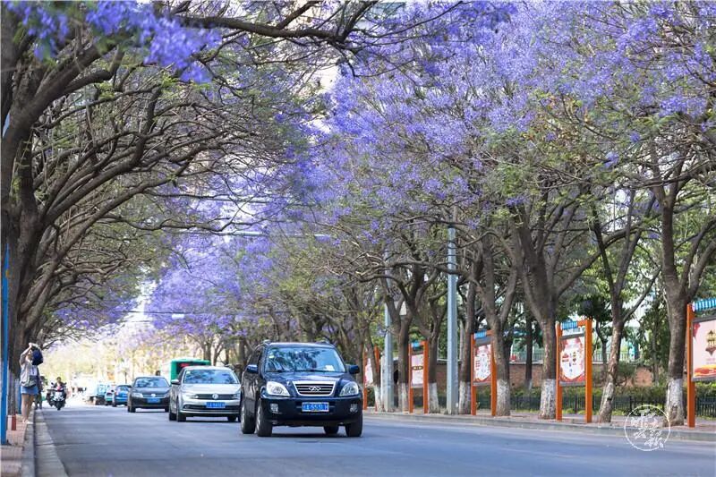 昆明区有几个区地图高清_昆明区有几个区分布图_昆明有几个区