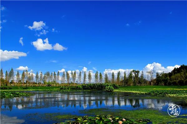 昆明区有几个区地图高清_昆明区有几个区分布图_昆明有几个区