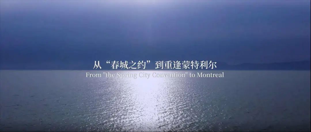 【聚焦COP15-2】“春城之约”重逢蒙特利尔！《同一个家园》MV今日上线
