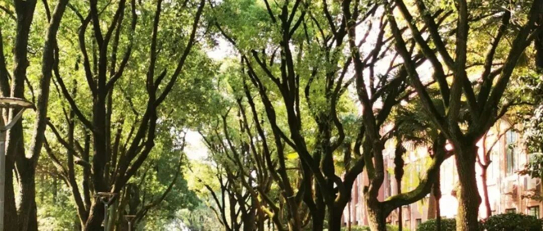 我在复旦金融班|2021时光掠影