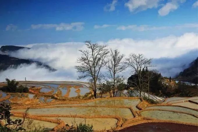 2019，不求走遍全中國，但求走遍雲南這30個美麗的地方。 未分類 第26張