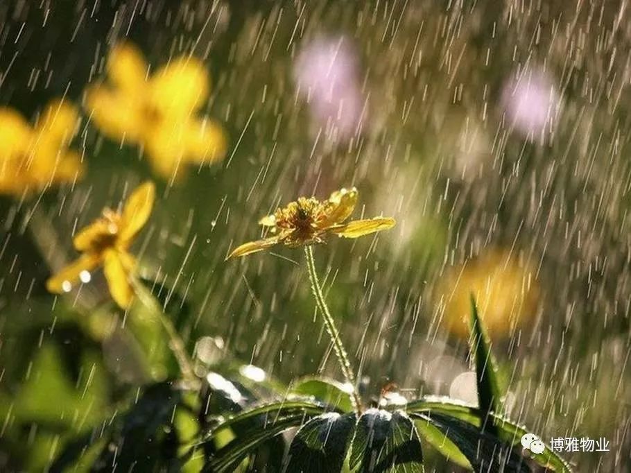 博雅故事 | 春雨寒夜，暖心的朋友圈火了