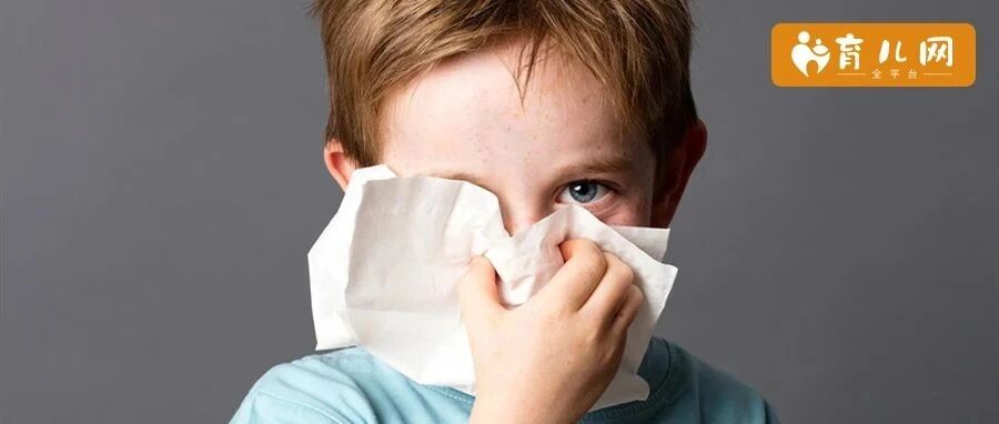 3岁幼童仰头止鼻血丧命，快get家庭急救小技能！