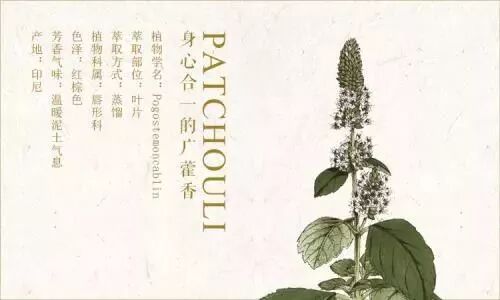 日赠一书 86 枕草子 快图书书讯 微信公众号文章阅读 Wemp