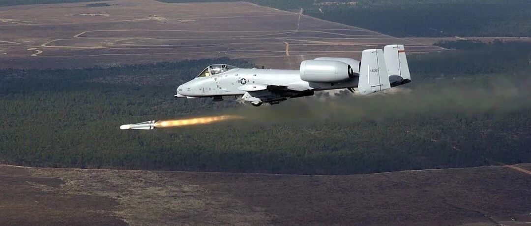 美国这只“猪”，不简单！