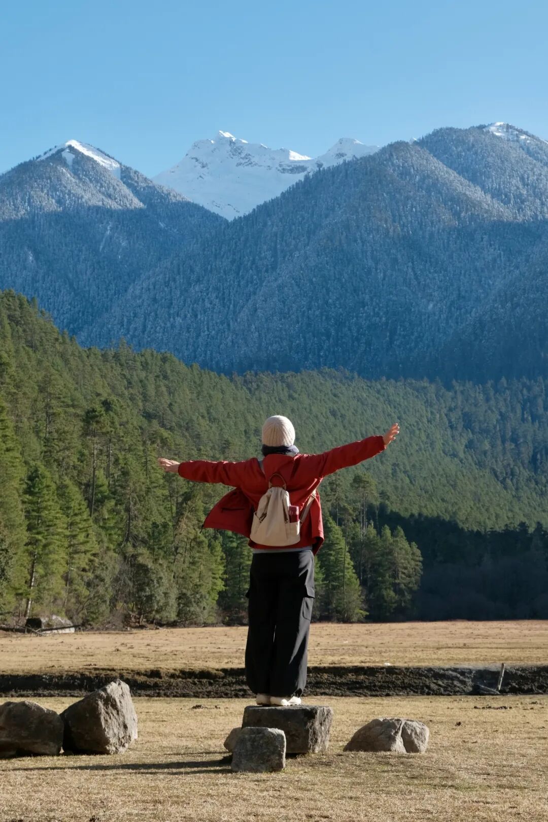 有直飞有高铁！花海美过新疆日本！这座小城凭什么荣登“春日旅行天花板”？