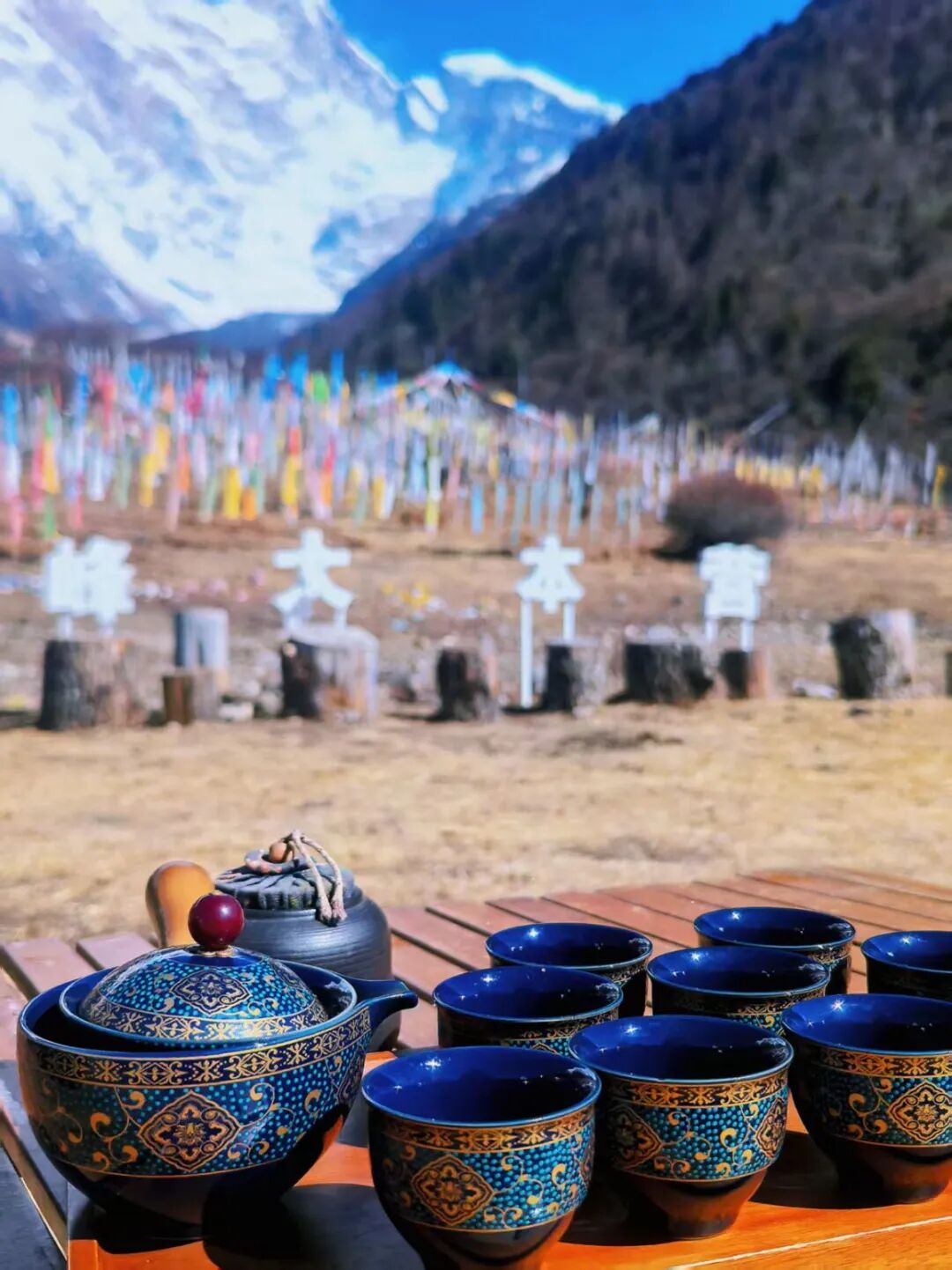 有直飞有高铁！花海美过新疆日本！这座小城凭什么荣登“春日旅行天花板”？