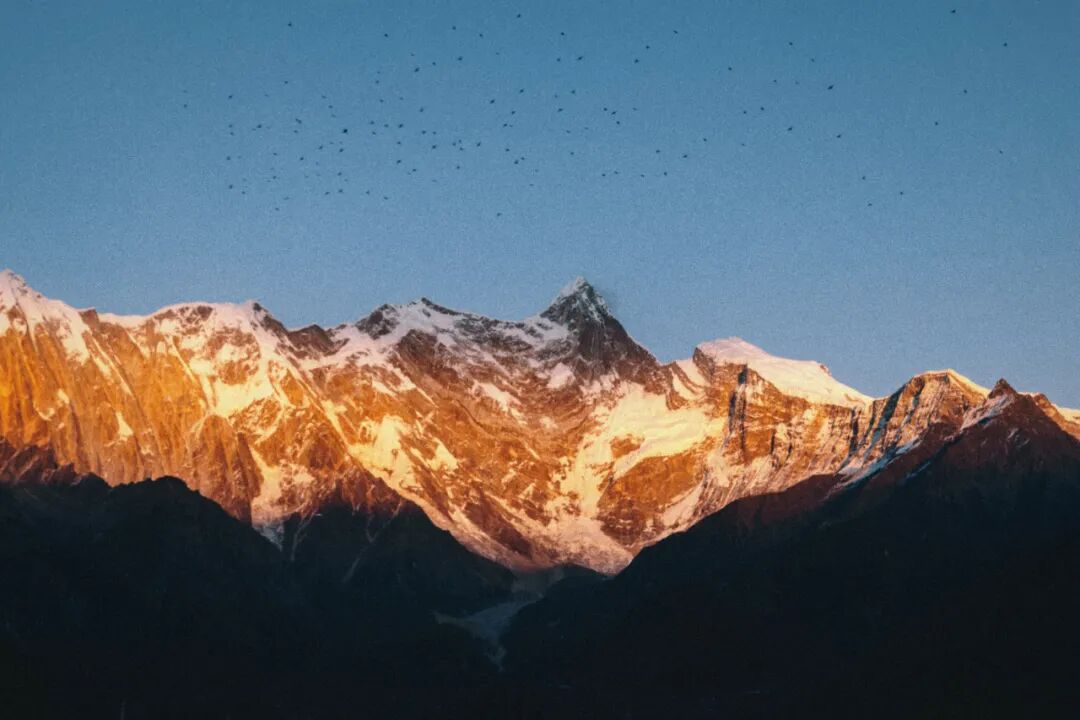 有直飞有高铁！花海美过新疆日本！这座小城凭什么荣登“春日旅行天花板”？
