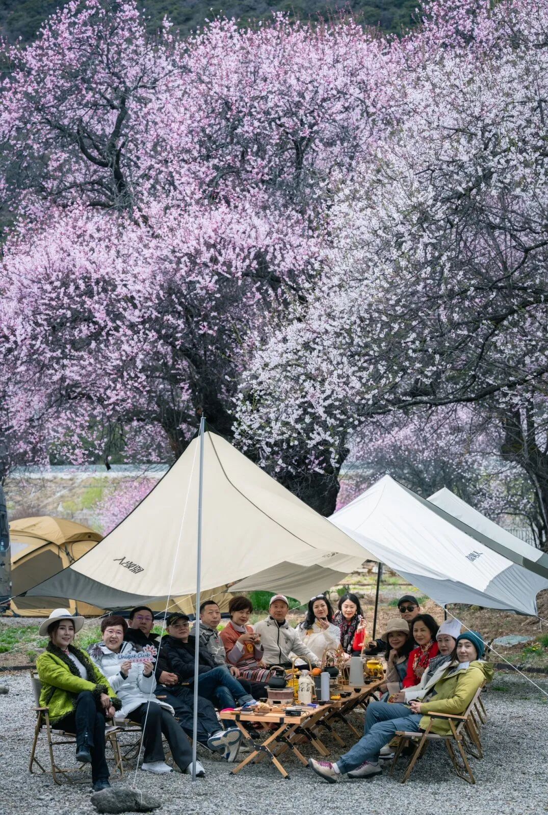 有直飞有高铁！花海美过新疆日本！这座小城凭什么荣登“春日旅行天花板”？