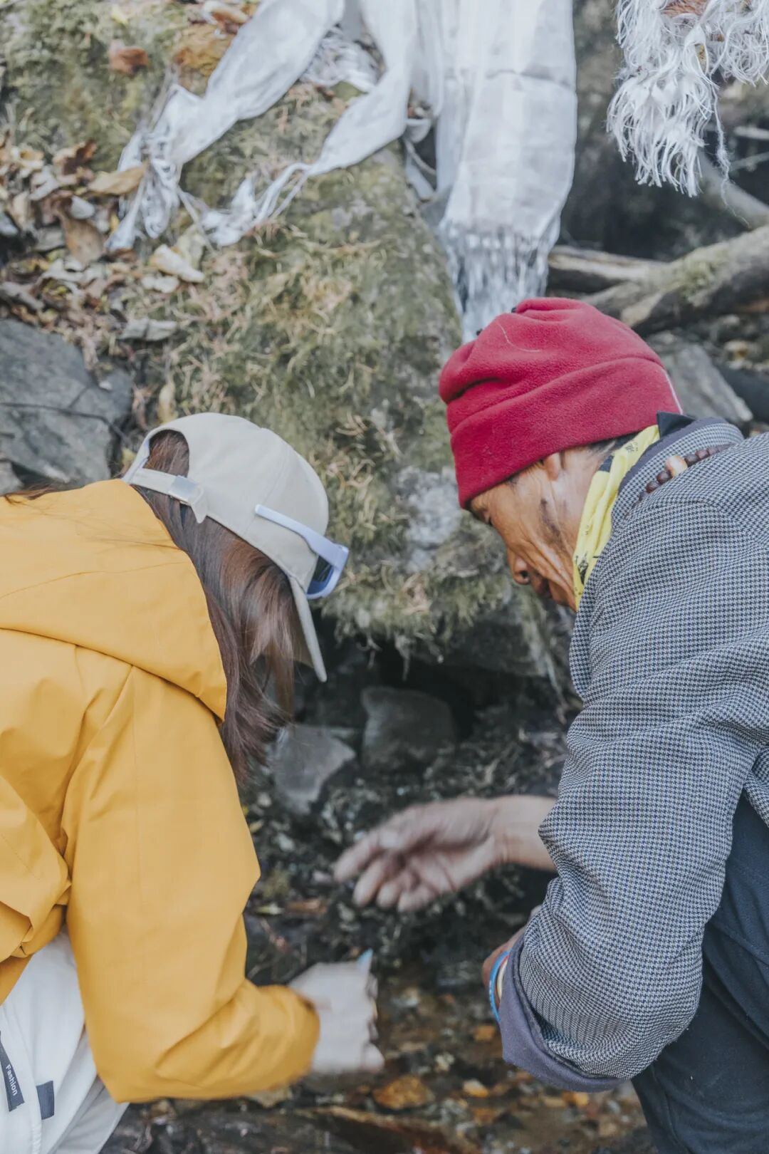 有直飞有高铁！花海美过新疆日本！这座小城凭什么荣登“春日旅行天花板”？