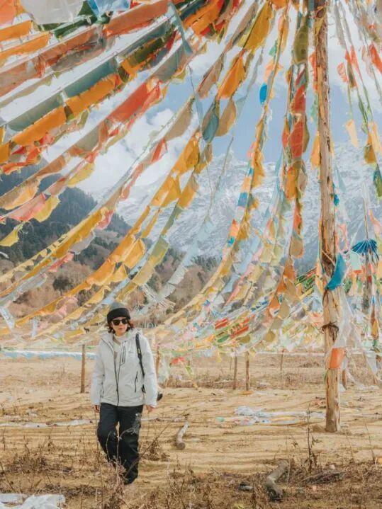 有直飞有高铁！花海美过新疆日本！这座小城凭什么荣登“春日旅行天花板”？