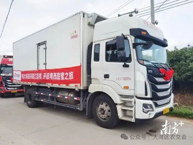 6月5日，钱大妈阳江荔枝直采基地发车仪式在阳西县上洋镇那西村举行。