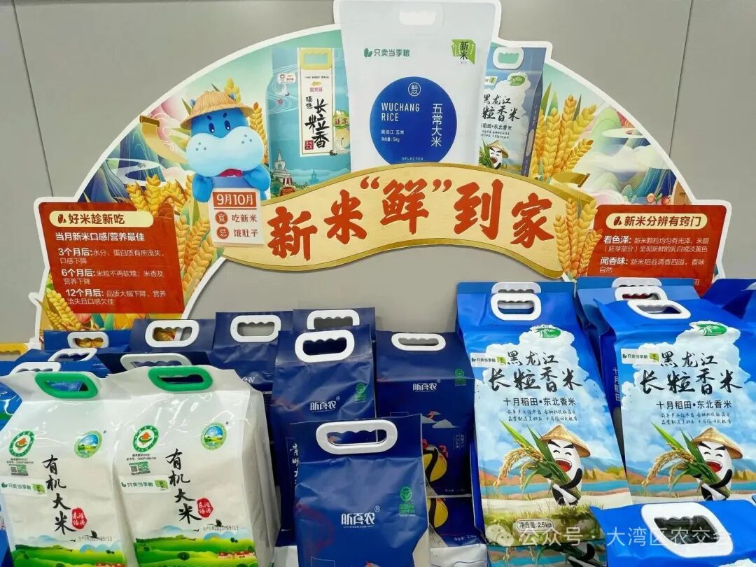 签约金额超20亿元!三大项目助推茂名滨海新区海洋经济高质量发展