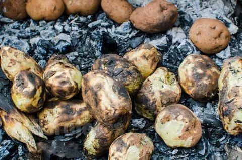 【兴隆的冬天】烧炉子,打煤球,烧洋芋