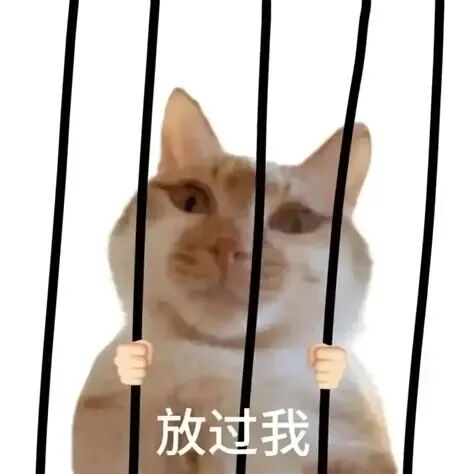 可爱猫咪双手抓着“栏杆”，一脸无奈配文“放过我” 表情包:乖乖乖表情包图片gif动图 - 求表情网,斗图从此不求人!