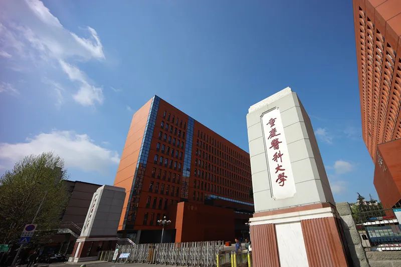 重庆文理学院2020录取分数_重庆文理学院最低录取分数线_2023年重庆文理学院录取分数线(2023-2024各专业最低录取分数线)