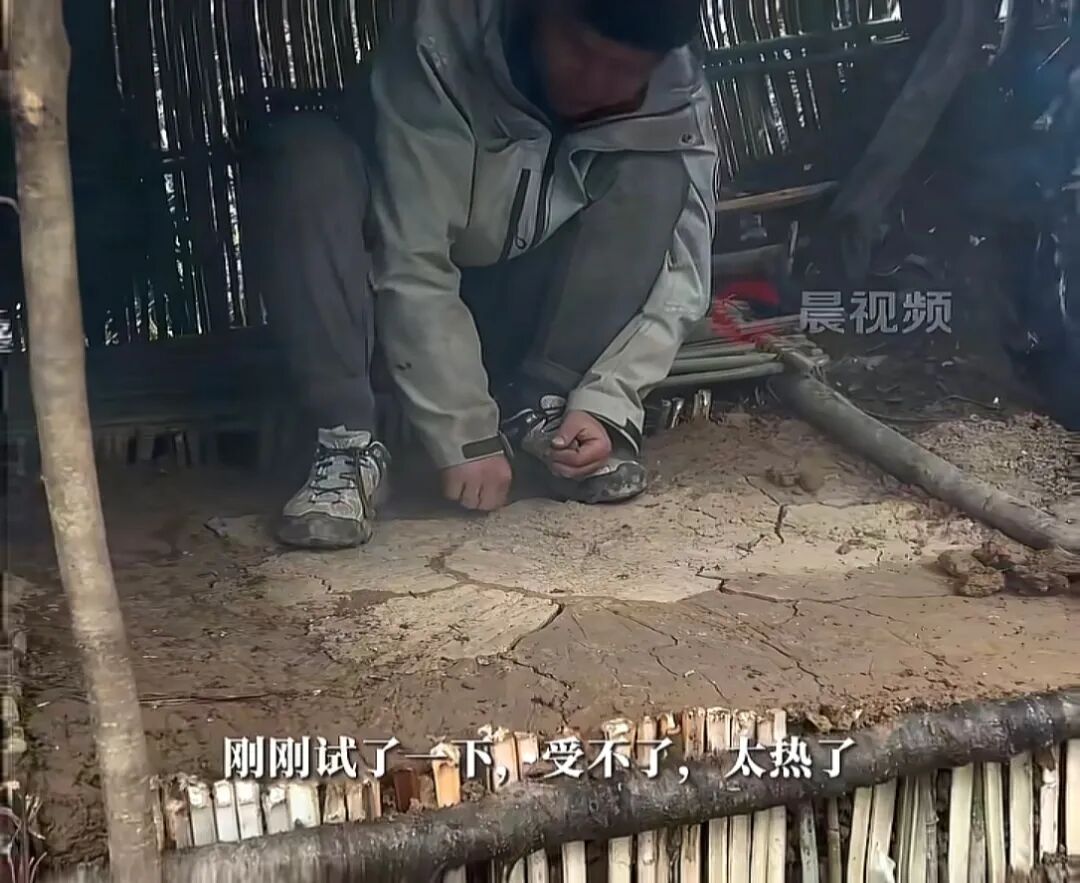 冷美人坚持37天获8666元