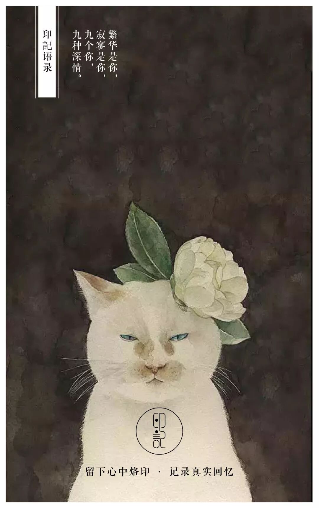 花与猫 印记文化 微信公众号文章阅读 Wemp