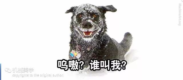 清障之美 吃相很萌 雪国街头独有的爪式积雪装载机 机械美学 微信公众号文章阅读 Wemp