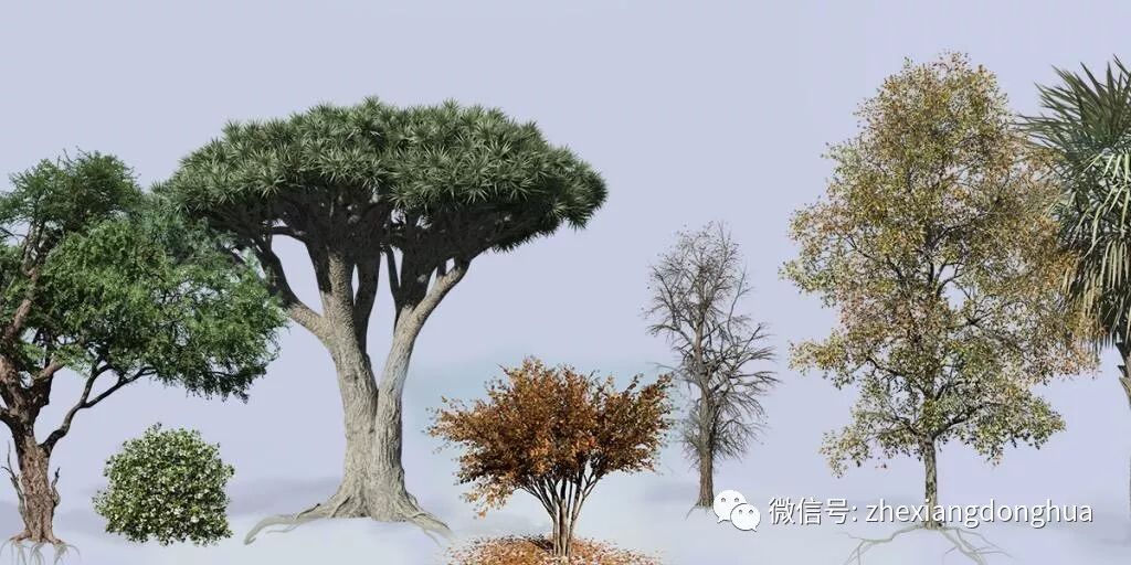 SpeedTree Cinema：3d 植被建模的行业标准！ - 哲想动画微信公众号文章