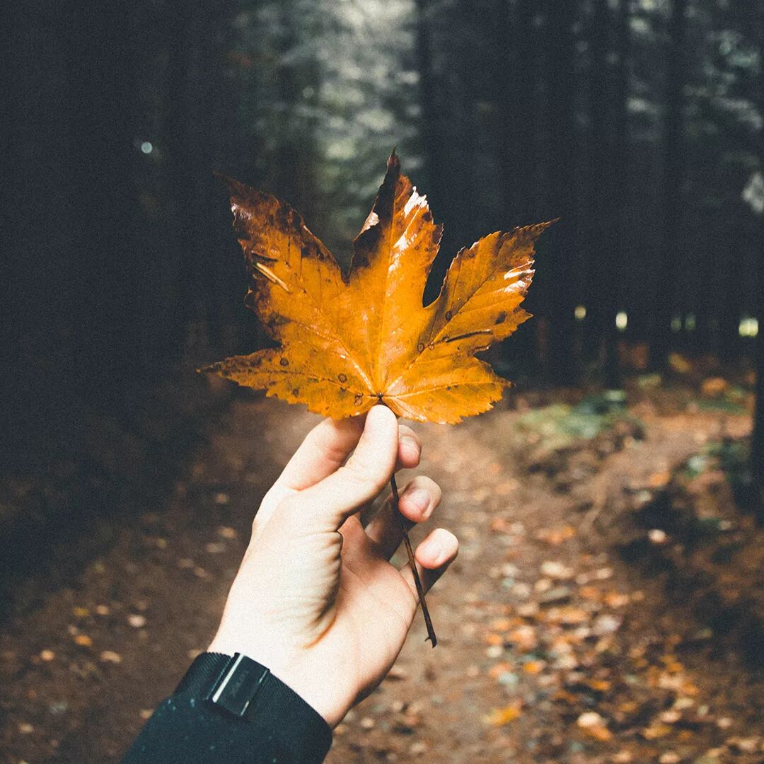 秋后严重掉发的原因竟是……别等头发没了才来看！