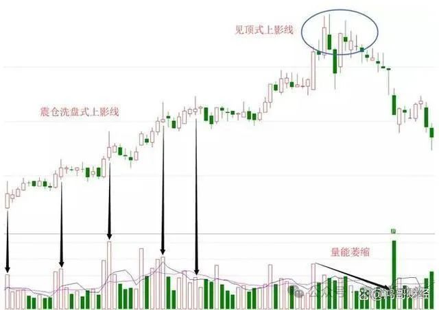 信泰股票走势图最新一周