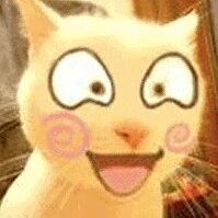 用不同语言叫猫，猫都不理，一用德语后，猫秒回头！网友：这猫咪留过洋回来！！