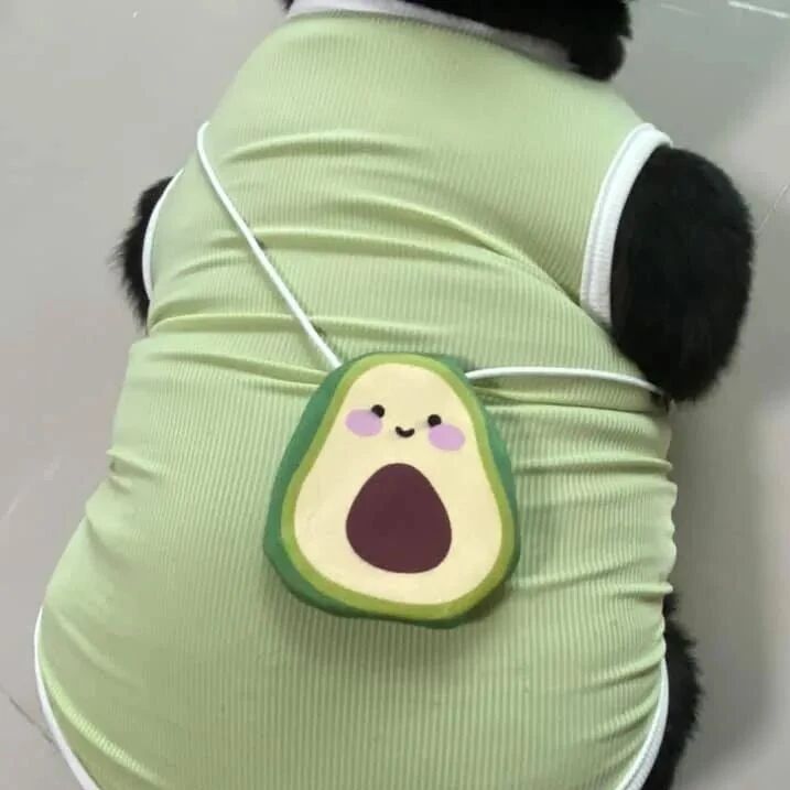 给猫买了件衣服，但感觉有点小，网友：是猫太大了！