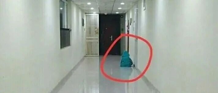 走廊发现一个不回家的小孩背影,差点被吓得半死！喵:大惊小怪!