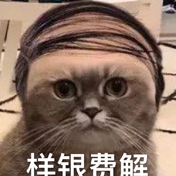 一只被‘毒害’的猫，说长得像某个明星，没想到换来的竟然是这般结果............