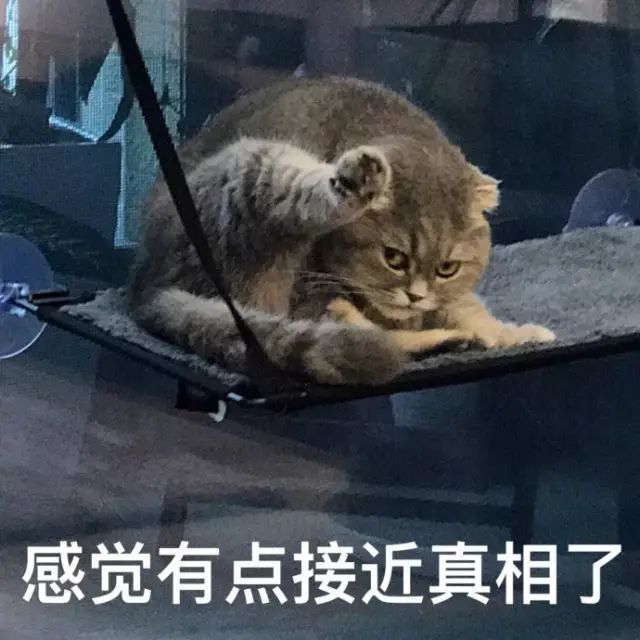 汪被强迫洗澡,猫凑热闹,蹲着看累了,趴着看,津津有味!网友:情谊果然像塑料花,虽然持久,但是很假。-微信头条网 汪被强迫洗澡,猫凑热闹,蹲着看累了,趴着看,津津有味!网友:情谊果然像塑料花,虽然持久,但是很假。