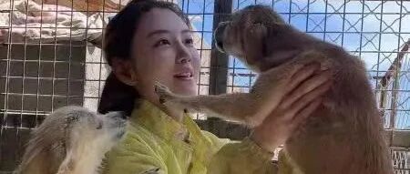 长相甜美的90后女孩，因喜欢小动物，成为了1500多只狗狗的妈妈