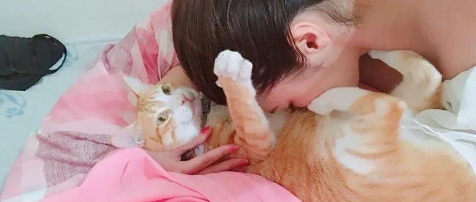 胖橘和宝宝抢玩具，还差点打起来，麻麻只好狠心做出这决定！网友：胖橘才是亲生的！