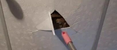 天花板突然裂开，主人拿东西拨开一看,当场气炸了.....