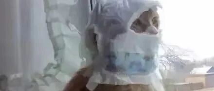 因为嫌弃猫猫老是乱尿，主人就给它穿上纸尿裤！结果画面太美……