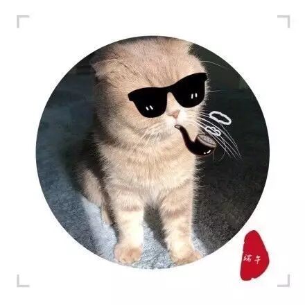 重磅秘密曝光，端午可能是太阳的后裔~网友：这秘密太可怕了！！