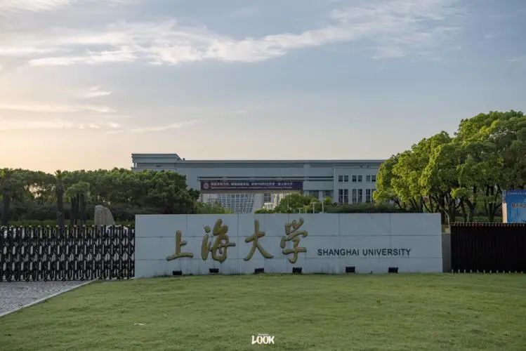 211艺术类大学图片