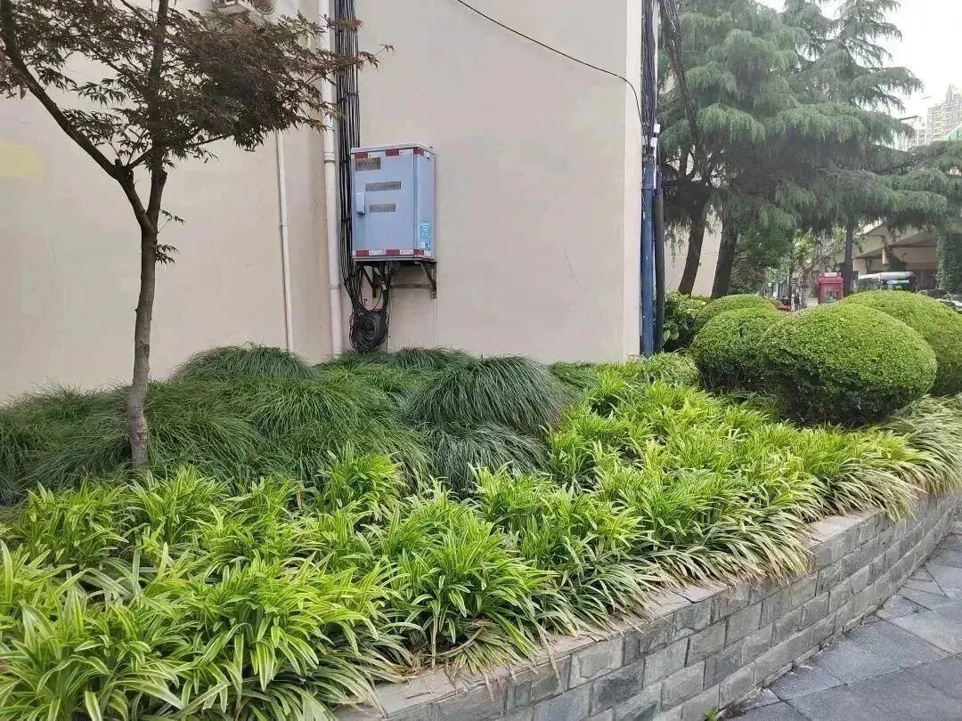 征集丨打浦桥街道街角花园焕新设计挑战赛启动,人人都来赛!