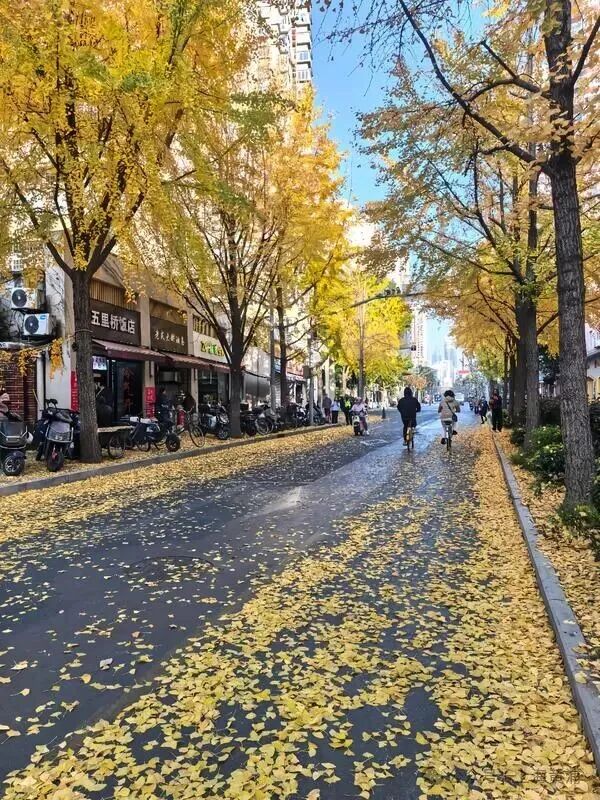 游客拍照1分钟背后，是他们1440分钟的精心！-7