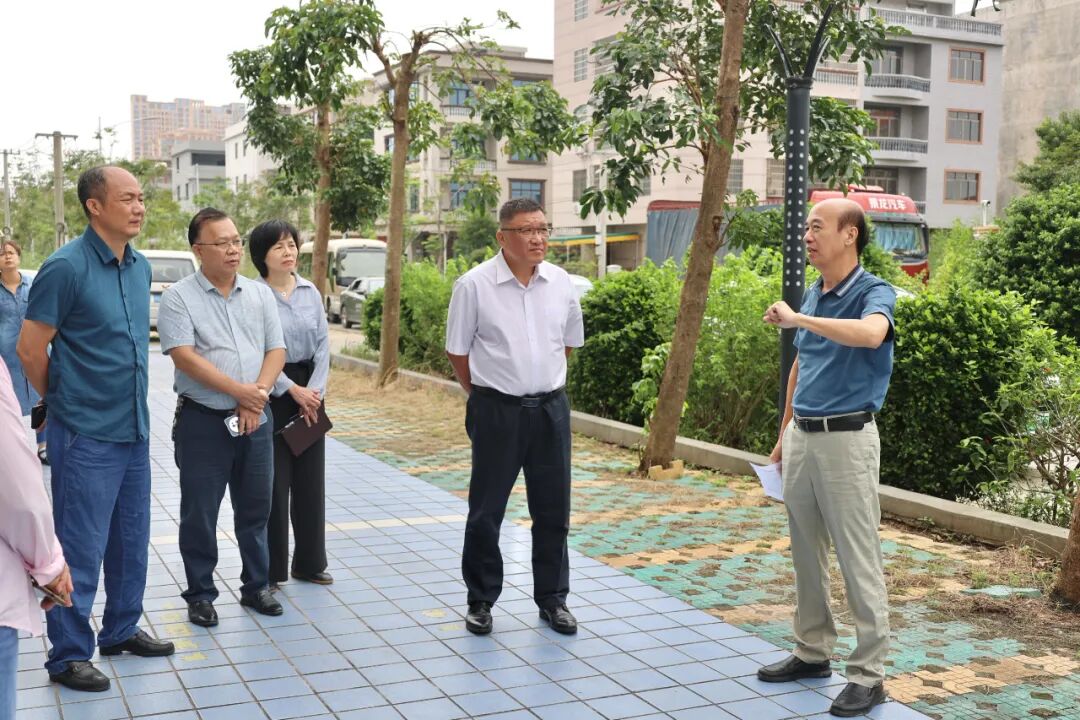 开展《北海市城市绿化条例》执法检查跟踪督办调研活动