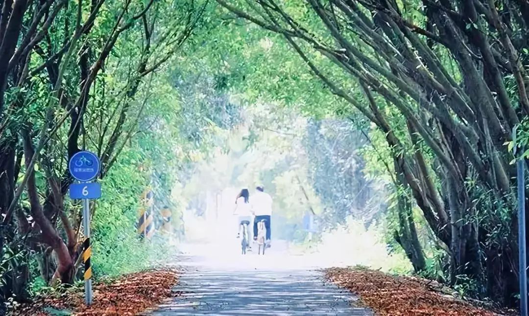 [行者]台灣觀光旅行—國境之南享受海島風情 超療愈屏東舒適遊 旅遊 第7張