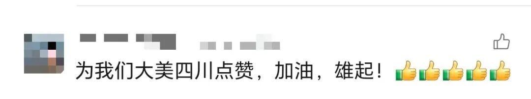 足球比赛一票难求，“树上挂票”来了！每棵树限挂3人