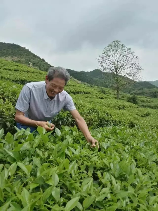 集赞有礼】福利大放送,让我们“浪”一夏。集赞50个,抢神秘黑茶礼 集赞有礼】福利大放送,让我们“浪”一夏。集赞50个,抢神秘黑茶礼