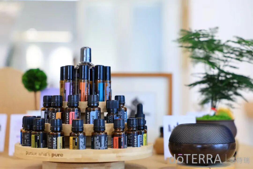 多特瑞(上海)商贸有限公司(图2) 宣传照片1.jpg