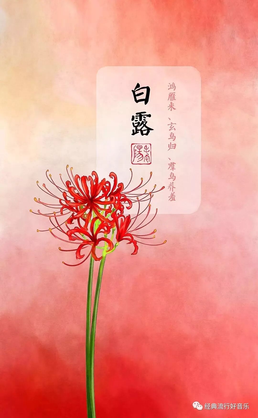 今日白露一曲在水一方送给大家