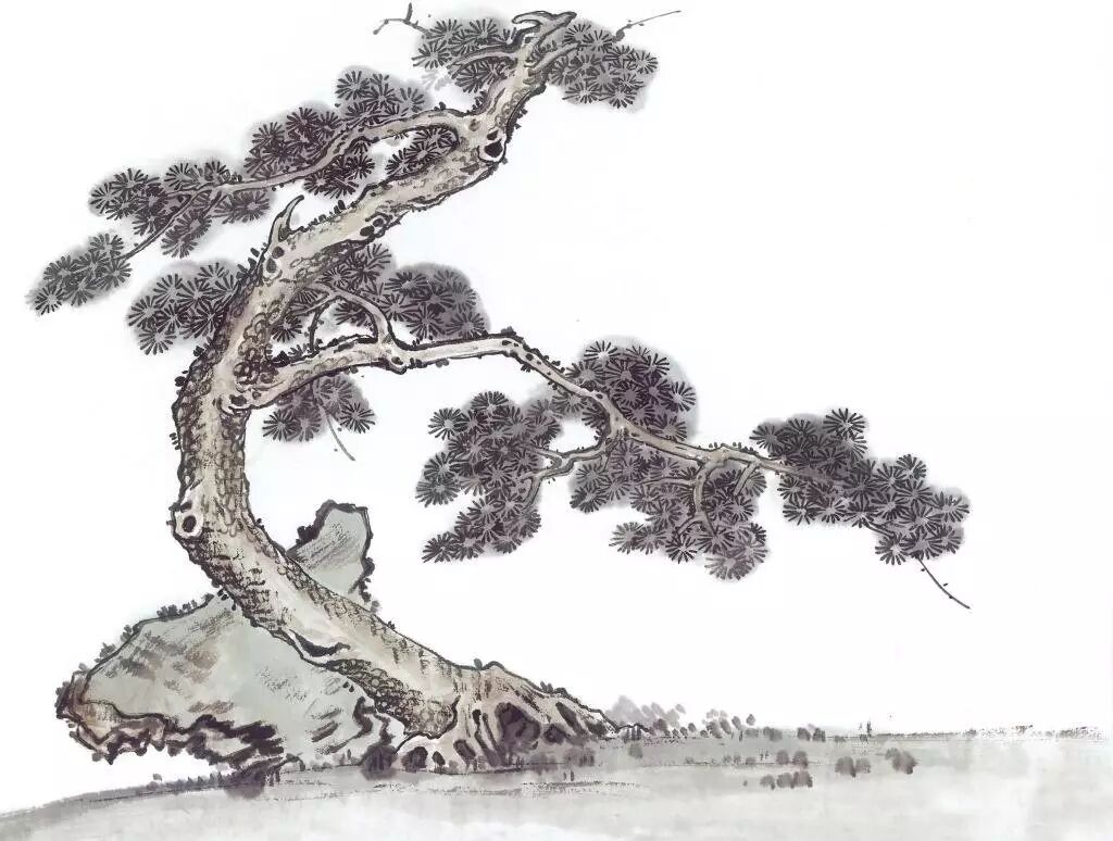 大心学---【荐读】我们对于一棵古松的三种态度_甘泉研究_甘泉思想_湛氏家族古今志