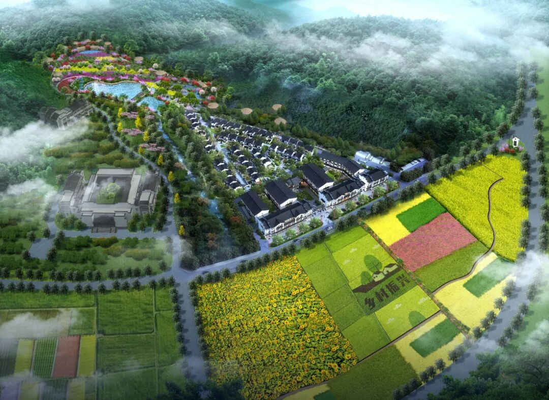 芜湖市湾沚区委常委,宣传部长单增劲一行考察中城智达产业投资有限